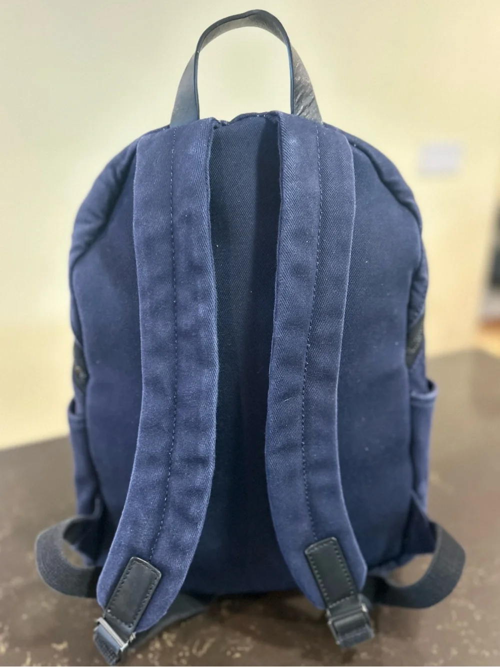 Everlane Modern Commuter Canvas Backpack